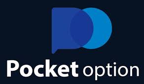 Exploring the Pocket Option Platform A Guide to Trading Success